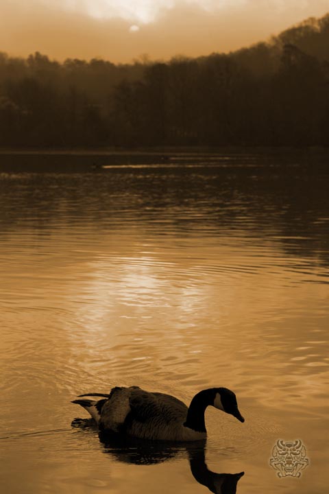 _MG_3621.jpg : 강가에서