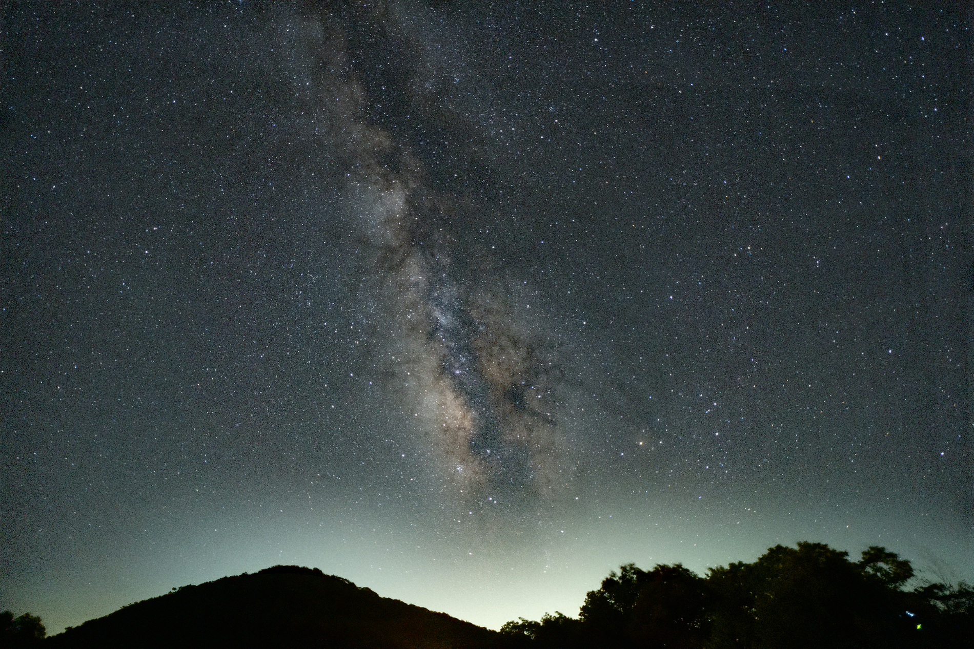 ppbear07262025-(1-10) copy.jpg