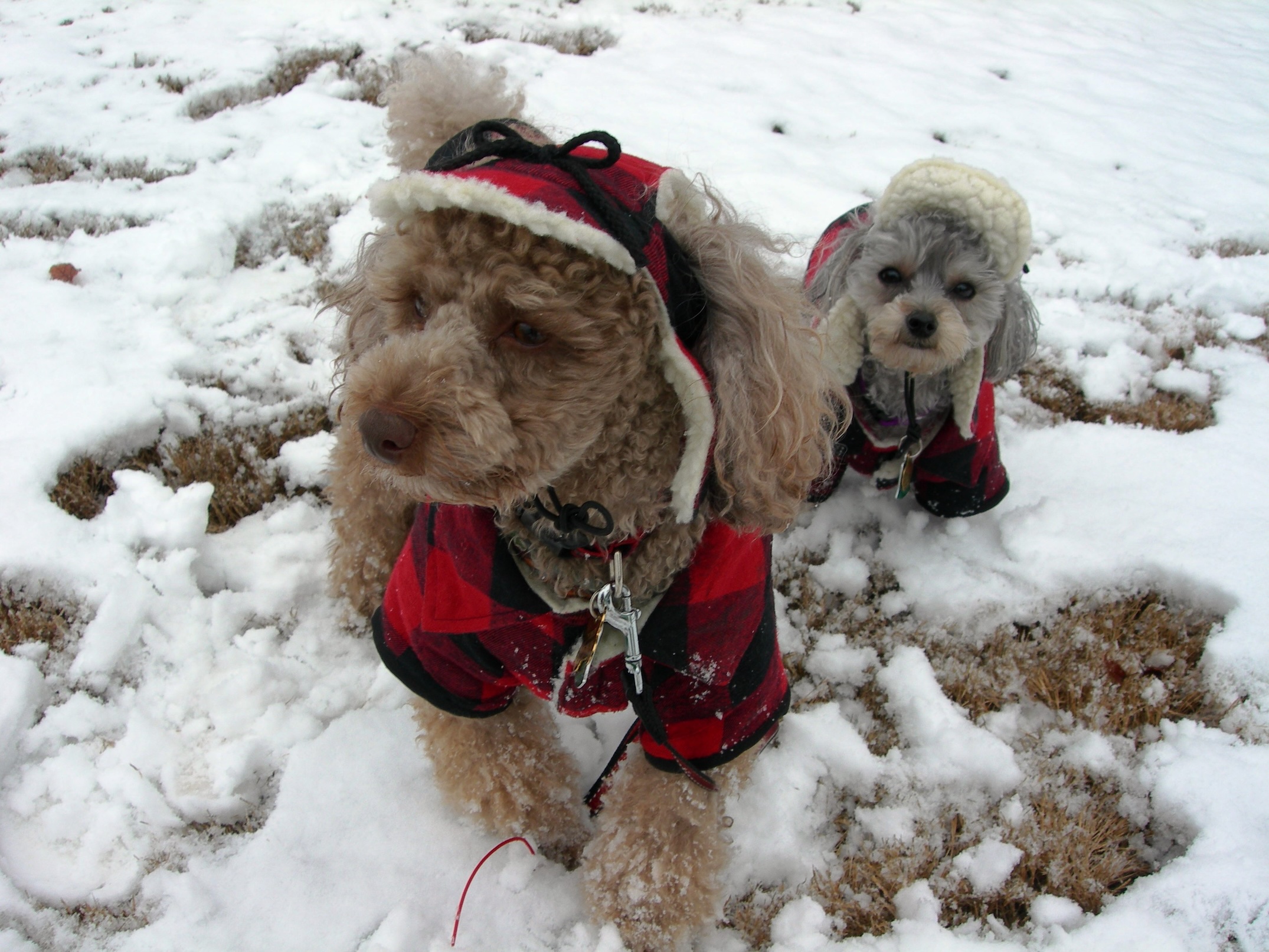 michelle s.kim 015.jpg copy.jpeg