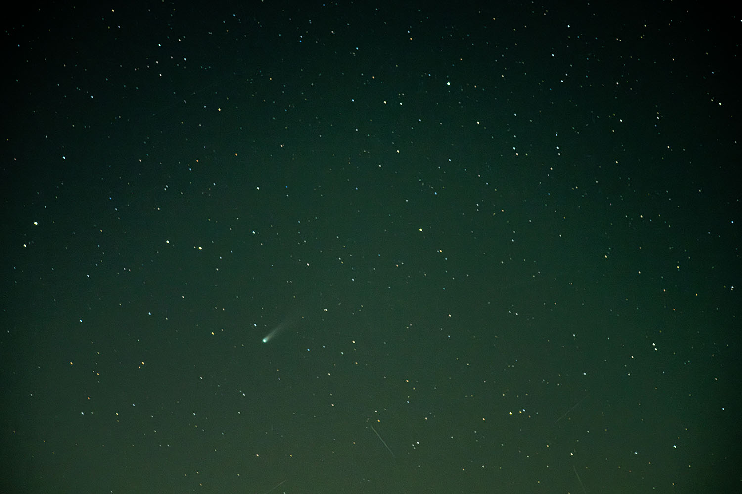 NZ74800-Enhanced-NR copy.jpg