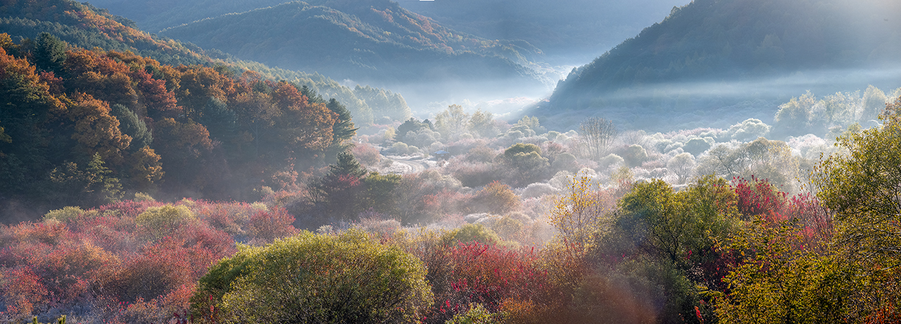 파노라마1-1.jpg