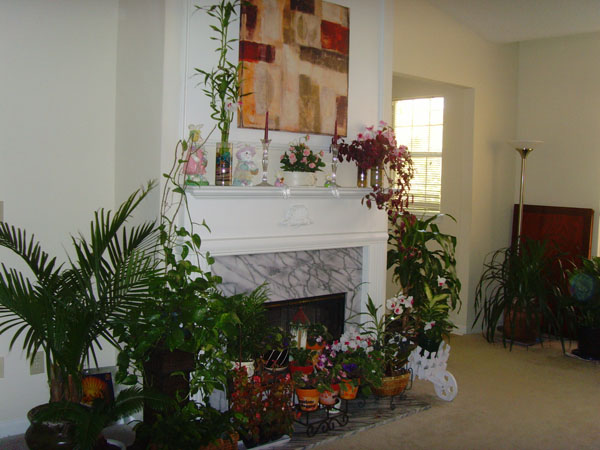 Living room2.jpg