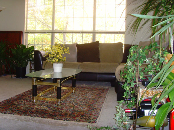 Living room3.jpg