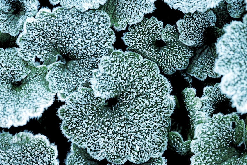 PMY_0471_RS.jpg : 첫출사 숙제 검사 PMY_0471_RS.jpg : 첫출사 숙제 검사