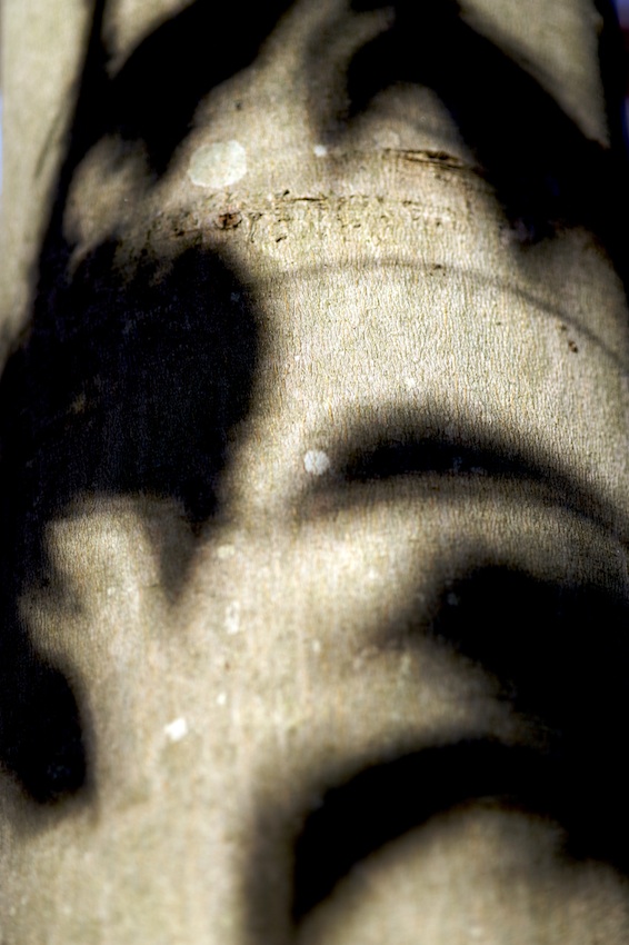 PMY_0524RS.jpg : 첫출사 숙제 검사 PMY_0524RS.jpg : 첫출사 숙제 검사