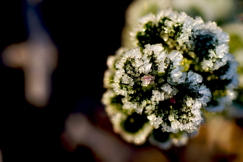 PMY_0440RS.jpg : 첫출사 숙제 검사 PMY_0440RS.jpg : 첫출사 숙제 검사