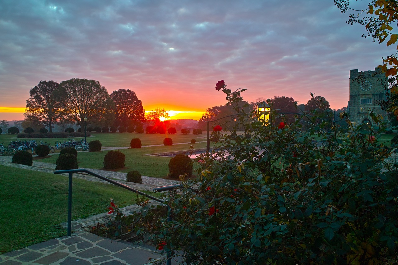 morning sunrises.jpg