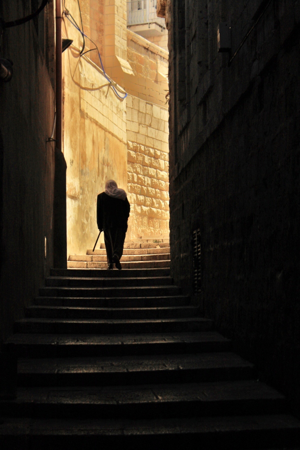 IMG_2695 (2)(600x900).jpg