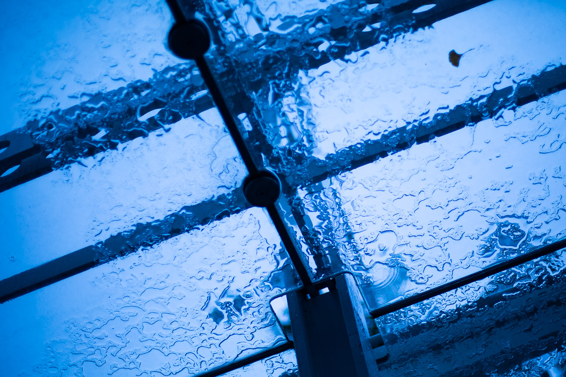 #37 오전 1.00.11.jpg