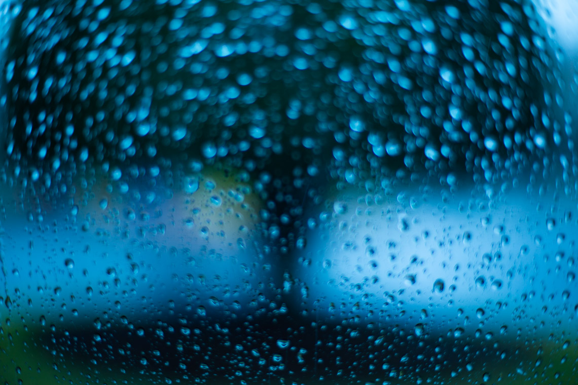 #20 오전 1.00.11.jpg