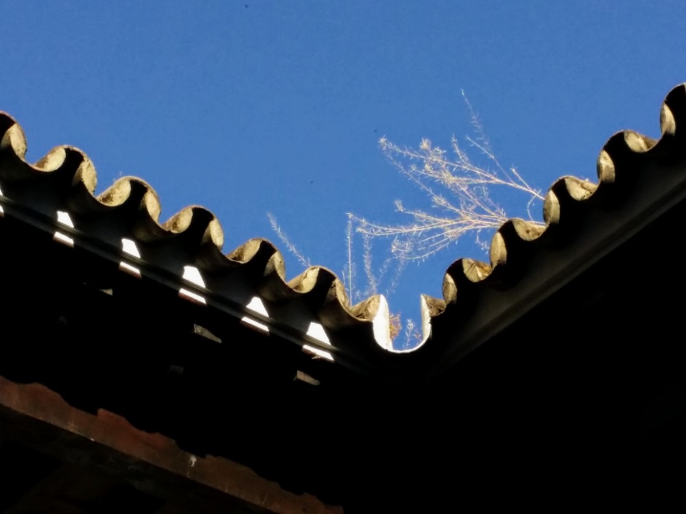 20170605_095411 (2).jpg