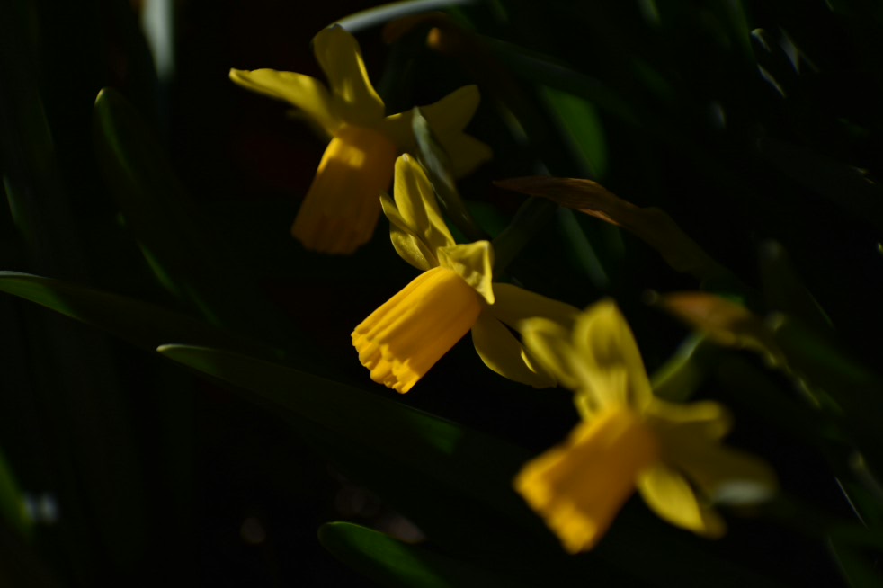 2017-03-02 20.12.11.jpg