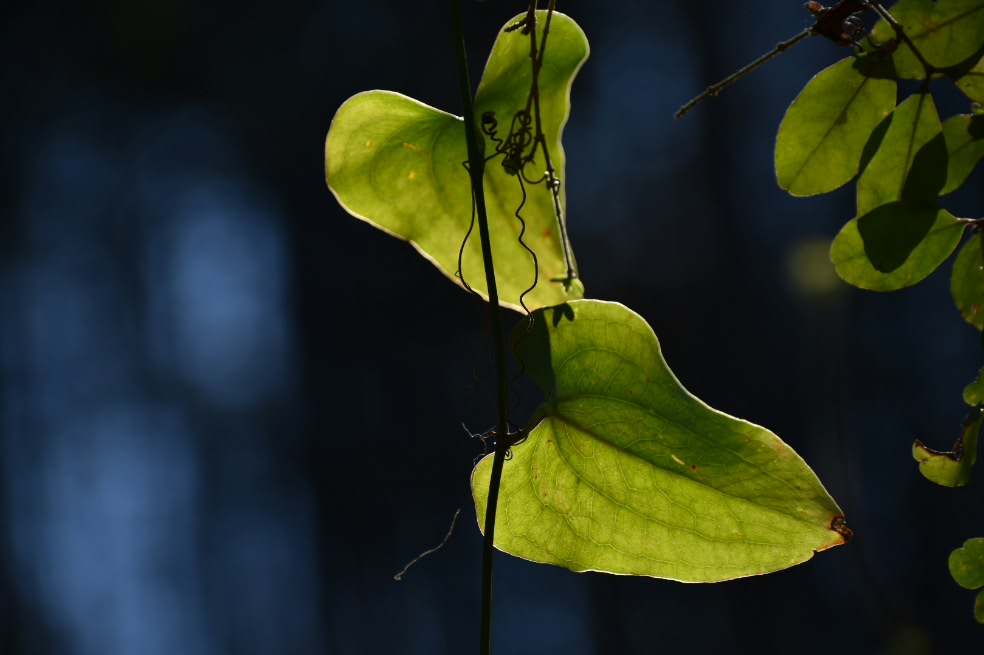 2017-03-02 20.17.34.jpg