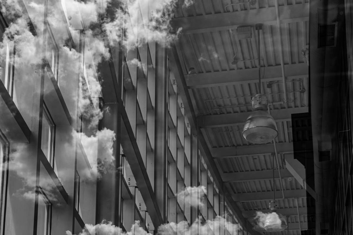 monocrom - scattered.JPG