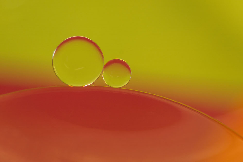 macro hw 14 copy.jpg