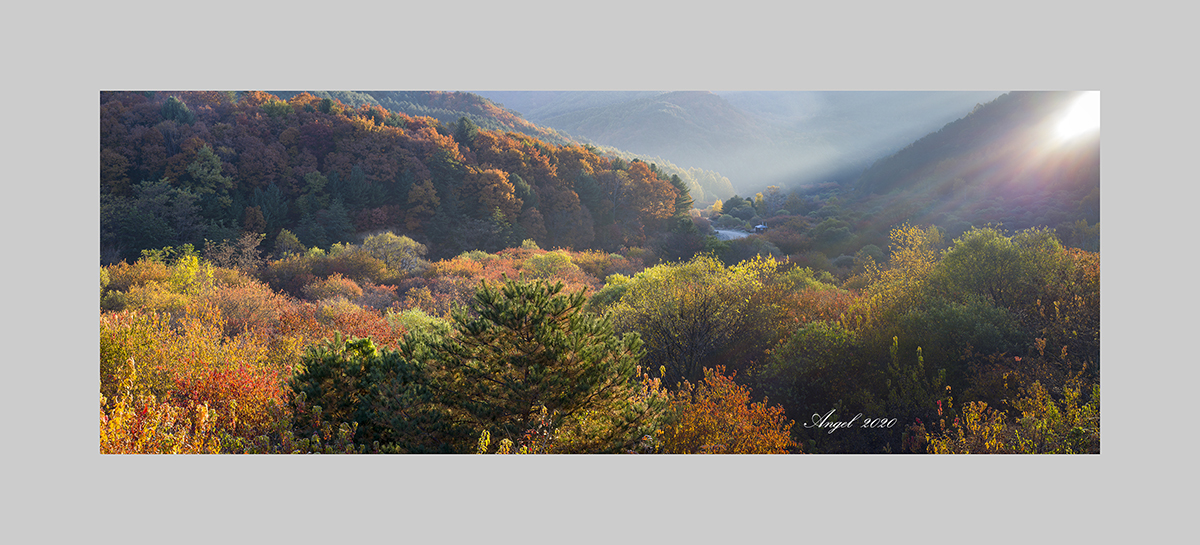 cUntitled_Panorama-3 copy-1.jpg