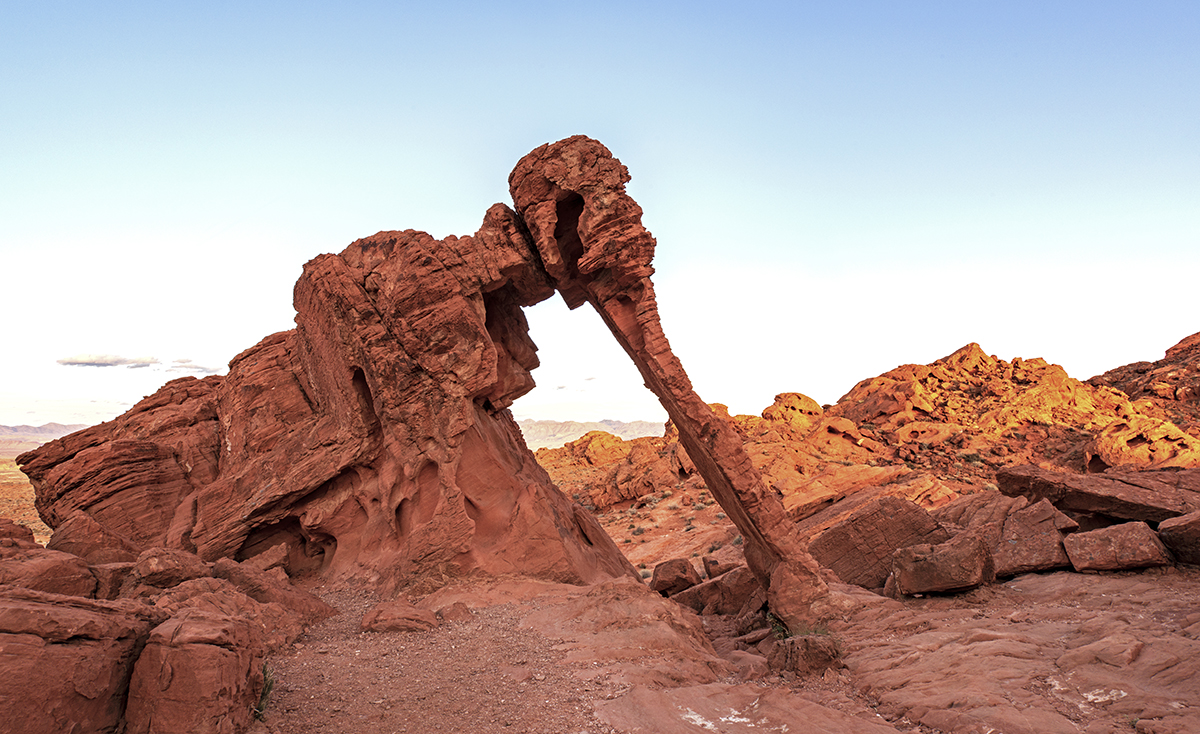 DSC_3219 PS 1200px.jpg