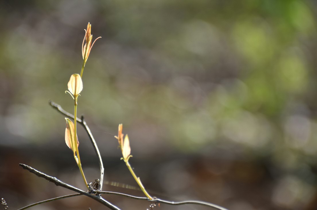 2017-04-09 10.49.02.jpg