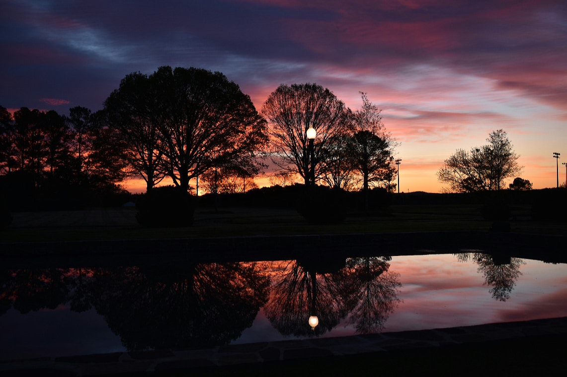 2017-04-09 10.41.01.jpg